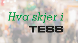 Kjente merkevarer